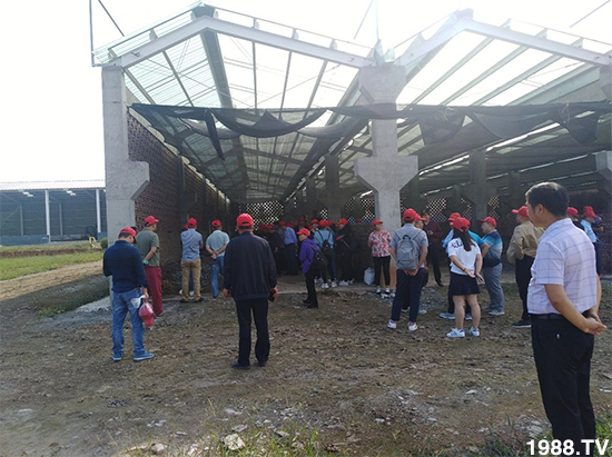 水溶肥市場大變革?。亢Ｔ寰?、魚蛋白將被它代替！1000多用戶鼎力推薦！