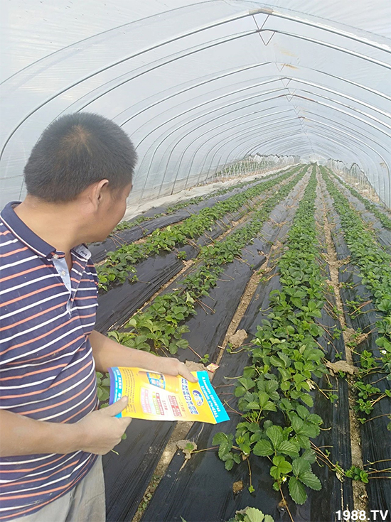 水溶肥市場大變革！？海藻精、魚蛋白將被它代替！1000多用戶鼎力推薦！