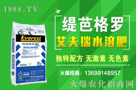 小麥價格漲了!十月小麥行情預(yù)測!