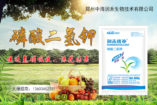 果樹(shù)一整年到底該怎么施肥?果樹(shù)施肥注意事項(xiàng)有哪些?