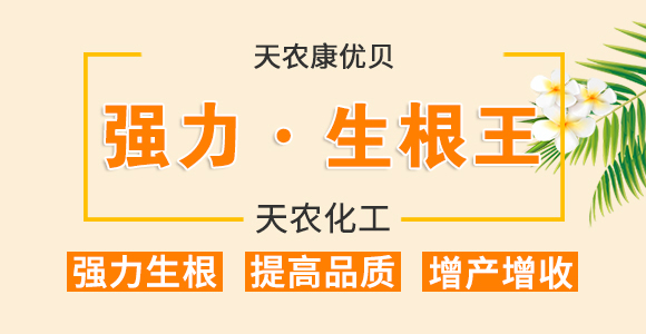 ��(qi��ng)����������-���r(n��ng)����(y��u)ؐ-���r(n��ng)����_01