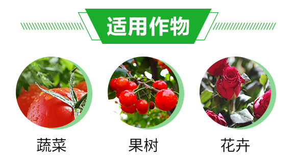 ����Ԫ��ˮ�ܷ���12-6-42+TE-ؐ����_04