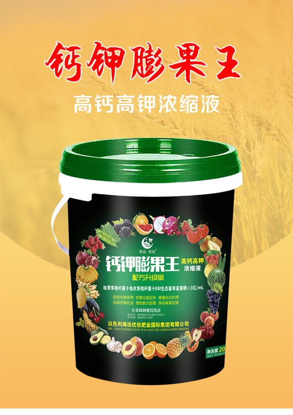 ���}��⛝�sҺ-�}������-������(y��u)��_01