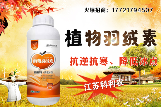 春玉米種植密度如何把握,春玉米施肥及中后期管理!