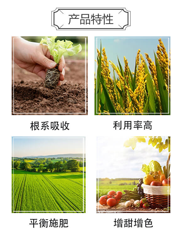 ����Ԫ��ˮ�ܷ�12