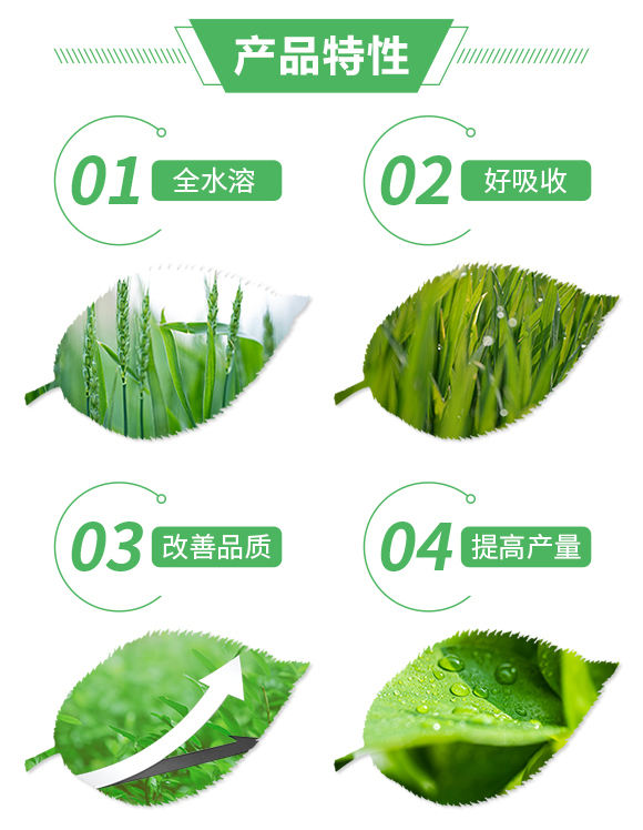 復混肥料18-17-19+6-保樂豐_02