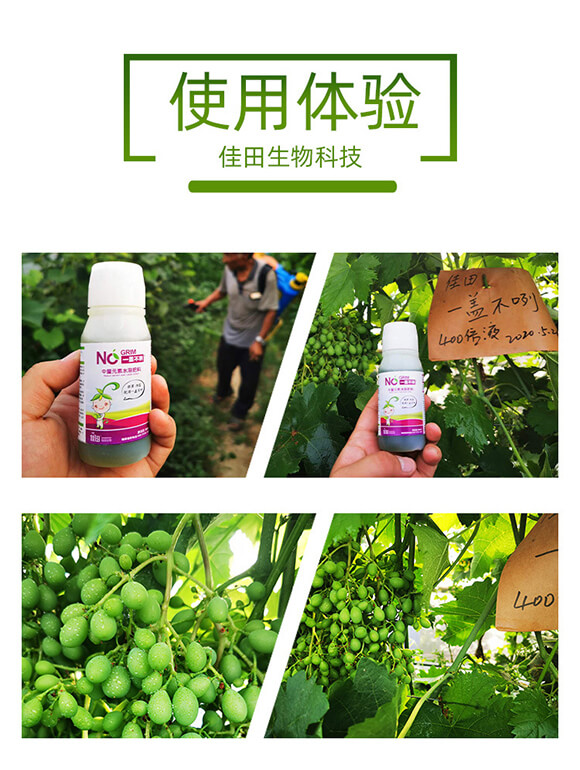 �������-һ�w����-��������_05