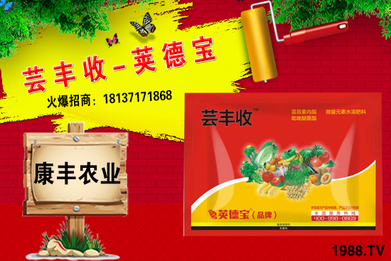 冬季要不要給小麥澆越冬水？小麥冬灌什么時(shí)候合適？