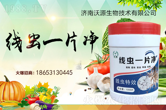 ���Y(ji��)���x�y���������ξ��x�����xһƬ����