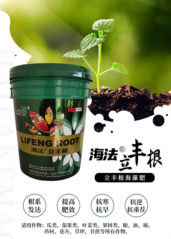 ��ɫ�к������Q(m��o)(����)���޹�˾1_01