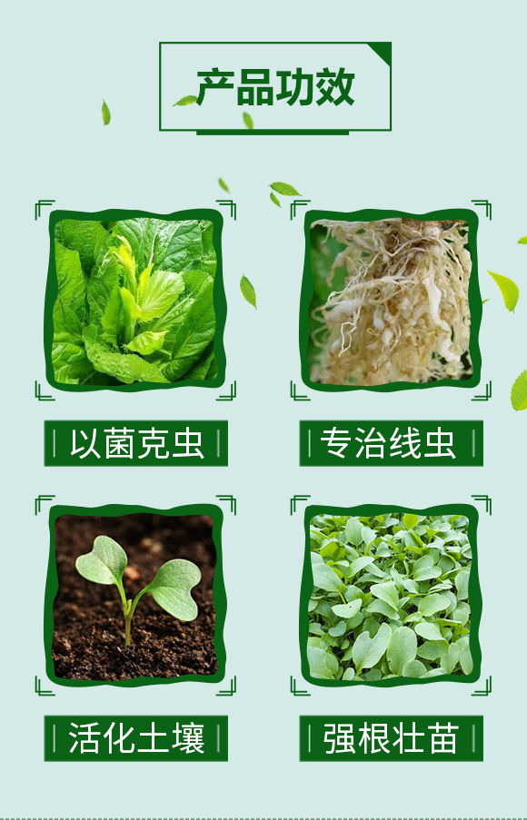 �����xһ�_��---���r(n��ng)����_03