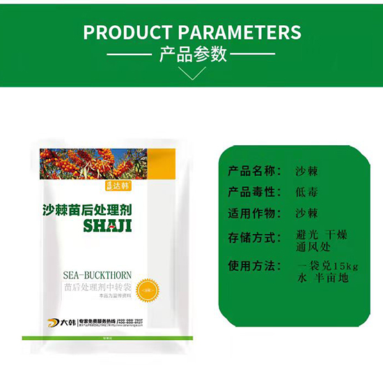 ɳ������݄�--ɳ�������-ɳ�����-���n2