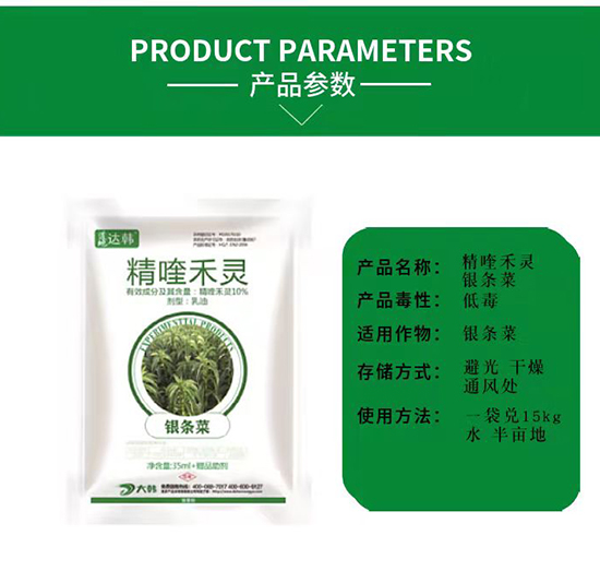 �y�l�˳��݄�-�y�l�����-�y�l�ˌ���-���n2