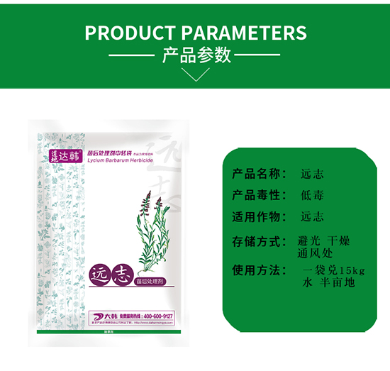 �h־�ݳ��݄�-�h־���-�h־����-���n2