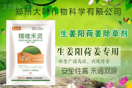 ���(y��ng)�ɽ���ô���������ش�ʲô���݄������(y��ng)�ɽ����ݷ�����ע�����(xi��ng)