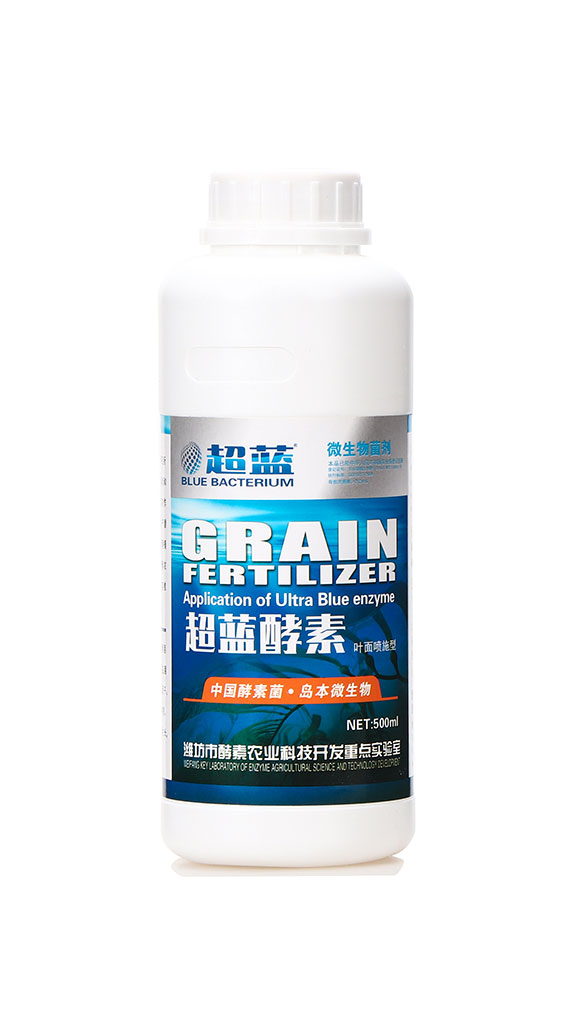 ���{����-�A�I1