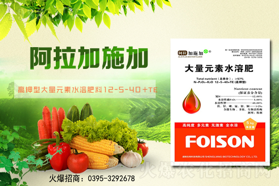 2月6日全國(guó)小麥報(bào)價(jià)！小麥價(jià)格突破1.57元/斤