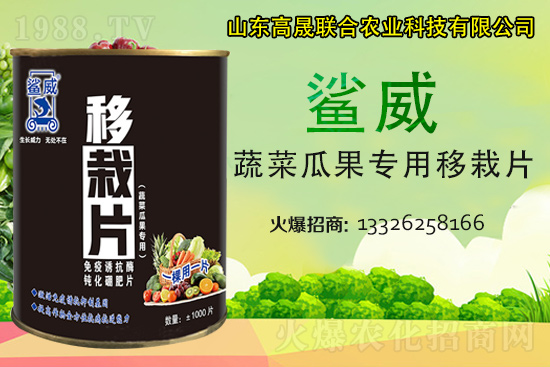 幼苗移栽苗弱、不長(zhǎng)、死苗...？蔬菜定植必看