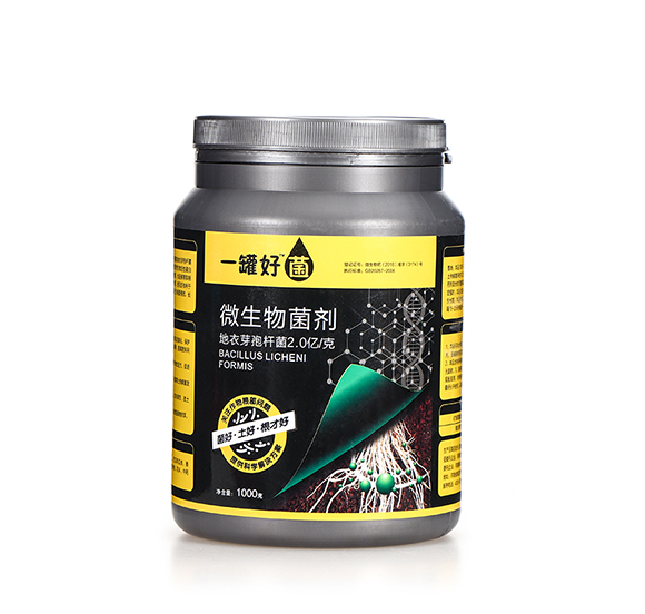 ΢�������Ԕ��D1