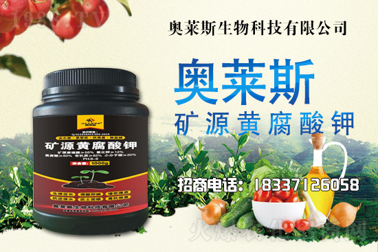 �`֥���a(ch��n)����(ji��)��ʲô�r(sh��)�����`֥���϶�ľ�������༼�g(sh��)��