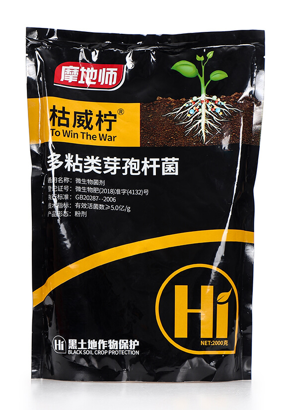 ��ճ�(l��i)ѿ�ߗU�� ������ Ħ�؎�4