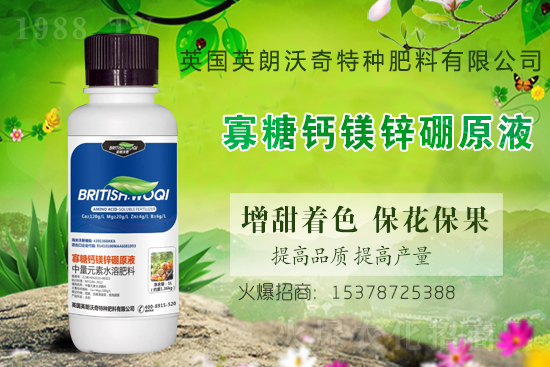 英朗沃奇成功簽約1988.TV，攜手共創(chuàng)新戰(zhàn)績！