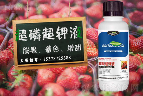 英朗沃奇成功簽約1988.TV，攜手共創(chuàng)新戰(zhàn)績！