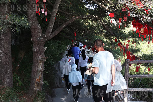 ���^�@��ɽ���� �Լ�����