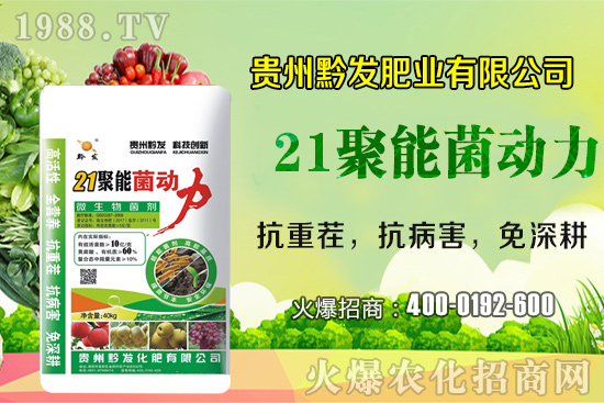 ǭ�l(f��)�ʘI(y��)�ٶȔy��1988.TV���y�ִ����������E��