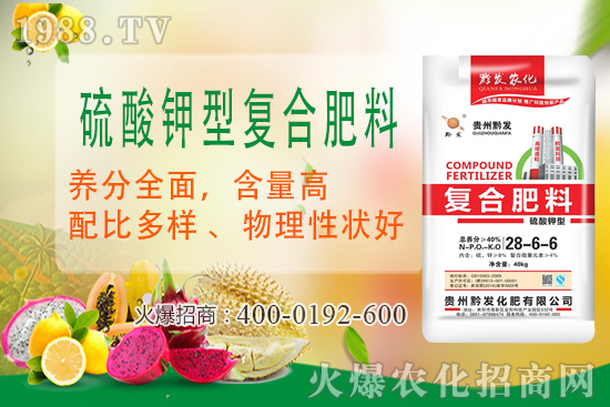 ǭ�l(f��)�ʘI(y��)�ٶȔy��1988.TV���y�ִ����������E��