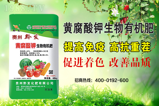 ǭ�l(f��)�ʘI(y��)�ٶȔy��1988.TV���y�ִ����������E��