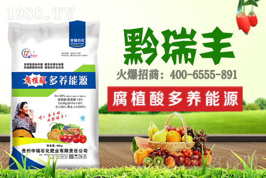     ����ʯ���ʘI(y��)�𱬁��u���ٺ����r(n��ng)�����̾W(w��ng)���_��(chu��ng)���x����