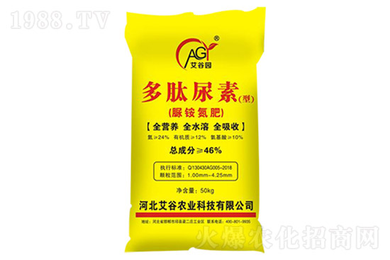 ���؃r���B�m(x��)�ϝq�����؅^(q��)���؃r���Ո�7��17�գ�