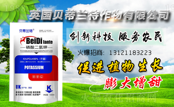 Ӣ��ؐ���m���ٺ�1988.TV�����\�������p�A��