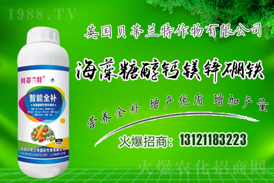 Ӣ��ؐ���m���ٺ�1988.TV�����\�������p�A��