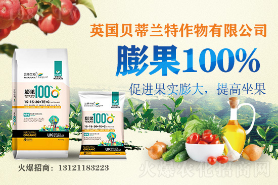 Ӣ��ؐ���m���ٺ�1988.TV�����\�������p�A��