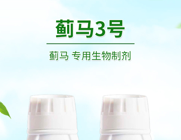 �E�R�����������Ƅ�-�E��3̖(h��o)-�����S����_01