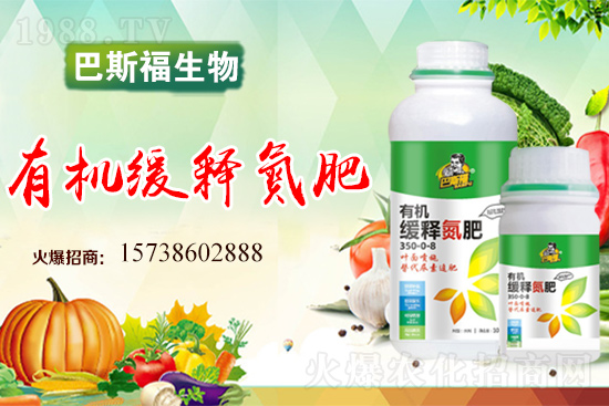 圣女果怎么施肥？圣女果追肥要點(diǎn)