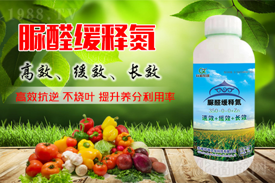 尿素期貨主力合約大幅上漲，尿素價(jià)格會(huì)如何變化？