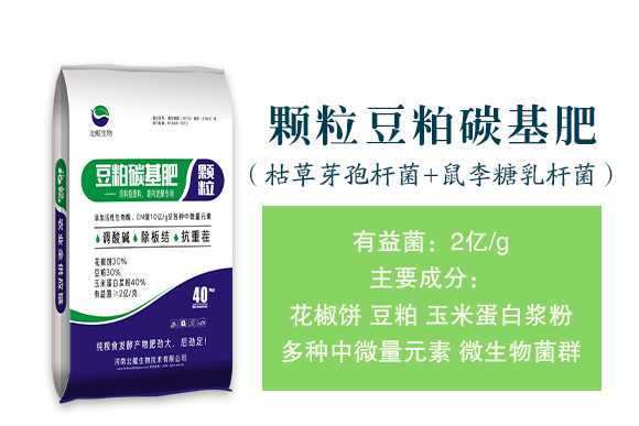 �w������̼����-���H����_02