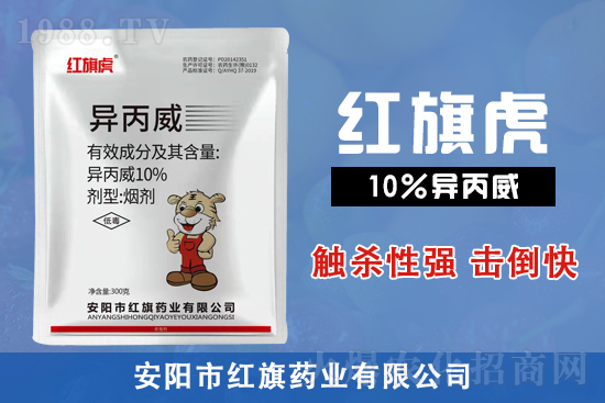 2022��2��6�՗�䚢�x���r������