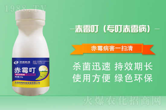 合作再升級(jí)!大連雙和科技再簽1988.TV,共創(chuàng)新輝煌!