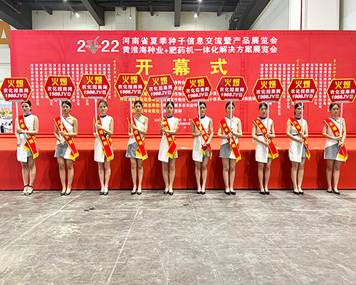 �����]�����Ĵ������������L(f��ng)�ɱM�@��