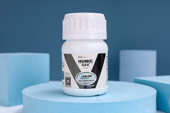 ���׿�-�͂��_1