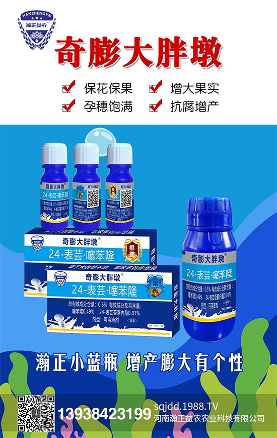 河南瀚正益農(nóng)農(nóng)業(yè)科技有限公司9