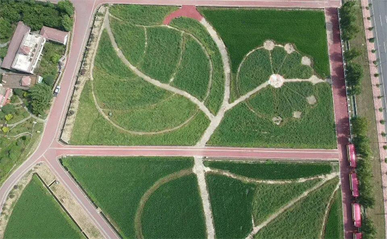 �ذ������ߌóɶ��N�I(y��)���[�����n11��18��