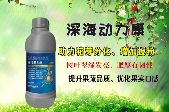 ���r(n��ng)���W(w��ng)ϲӭ�����ѣ������r(n��ng)�����s���v1988.TV��