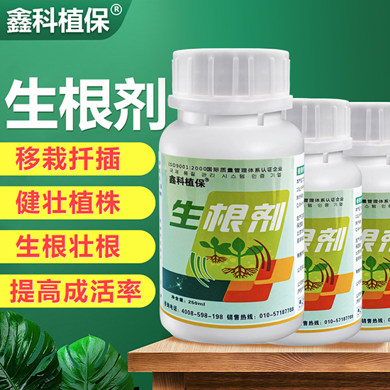 250ml������-�ο�ֲ��2