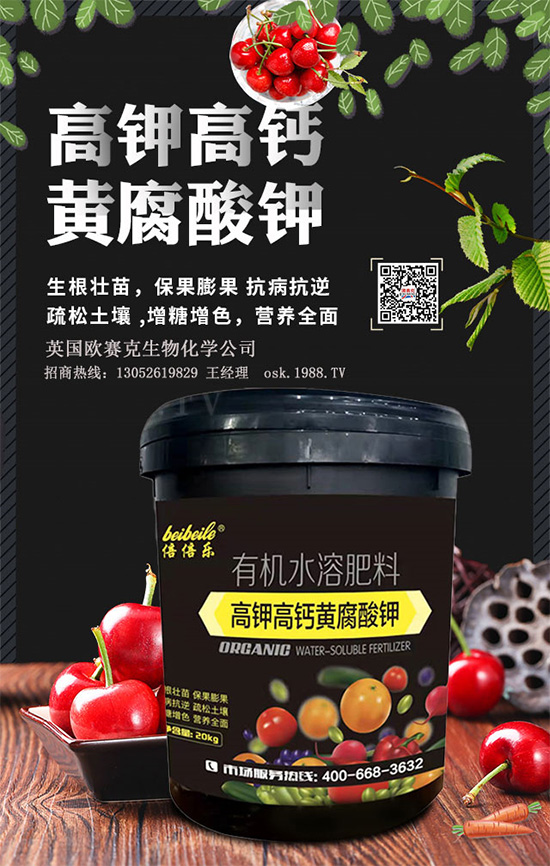 一袋黃腐酸鉀=生根+土壤改良+有機(jī)肥!黃腐酸鉀為何如此神奇?