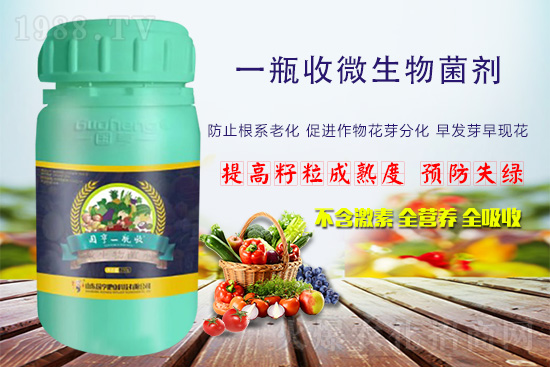 火爆農(nóng)化網(wǎng)喜迎新盟友，攜手國亨肥業(yè)共走財富之路！